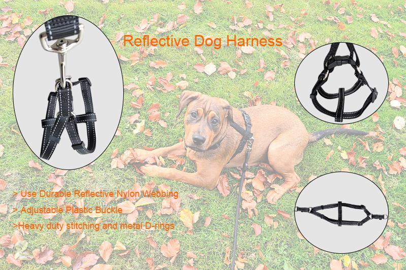 Dog harness