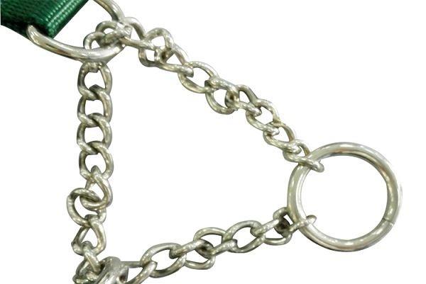 No-Slip No-Escape Training Dog Collar
