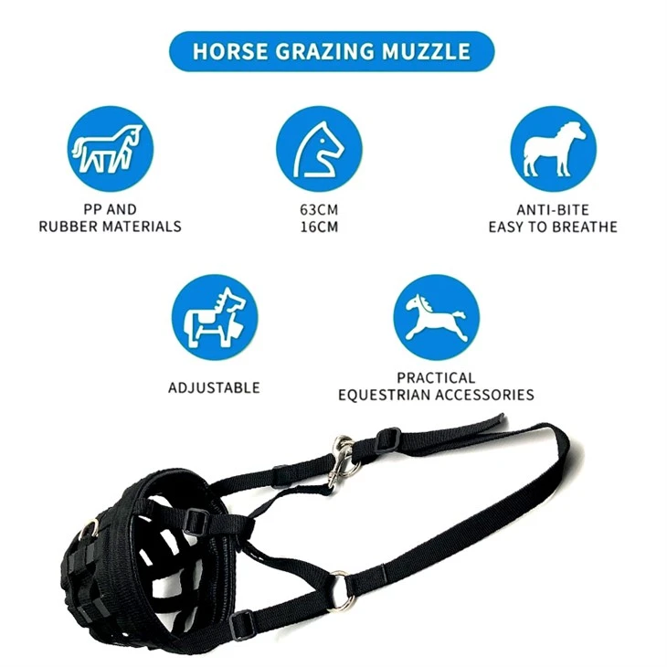 Horse pp Muzzle