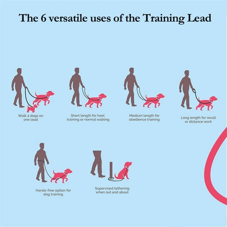 Multi-Functional Dog Leash