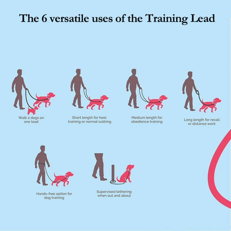 dog leash dog leash